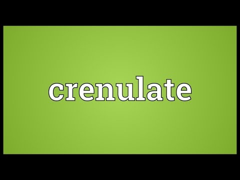 Header of crenulate