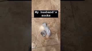 Me Wondering Why My Teen Daughter Leaves Her Dirty Socks Everywhere