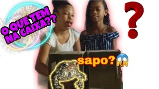 O Que Tem Na Caixa? Desafio Ft. Maria Eduarda