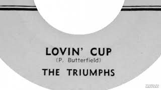 Watch Paul Butterfield Blues Band Lovin Cup video