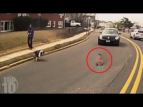 10 Animals Who SAVED PEOPLE'S LIVES!