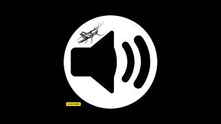 Cricketsawkward Silence - Gaming Sound Effect Hd