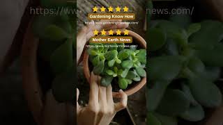 Best Blogs For Diy Organic Gardening