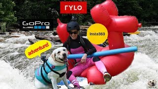 360 Camera For Pets 2018 Buyers Guide