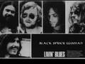 Livin' Blues - Black Spider Woman (live, about 1975)