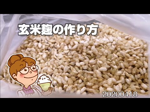 玄米麹の作り方 How To Make Koji 節約生活0418 堕天鹿youtube動画サイト