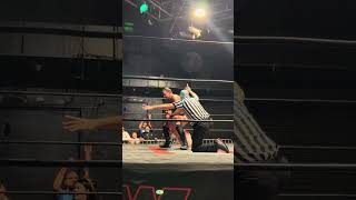 Camel Clutch By Ariel Levy