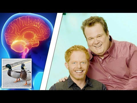 The Heart-Warming Science Of Gay Dad Brains