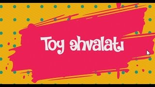 Toy Əhvalatı - Qazax I