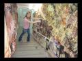 lascaux caves