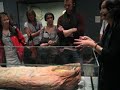getty mummy video