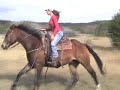 duster.wmv