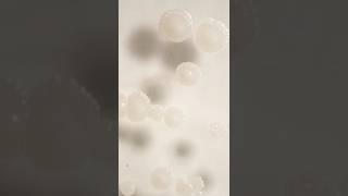 Our Relationship To Bacteria