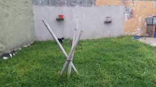 Catos jugando, kity, cute cat playing,cats funny video