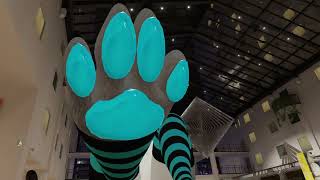 Cutie Putting His Paws On Your Face