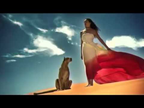 Forty One Ways Video