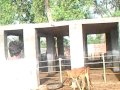 saeedkhan99