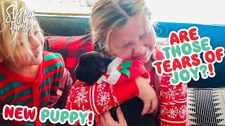 π CHRISTMAS PUPPY REACTIONS! ππ
BETTER THAN iPHONE! Slyfox Family X-Mas Morning | Slyfox Family