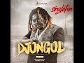 SINGLETON  -  DJONGOL ( Audio 2020 )