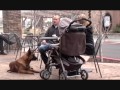 Personal Protection Dog Video