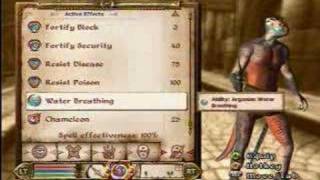 Elder Scrolls 4 Oblivion: 100% Chameleon