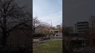 Sarue Park.