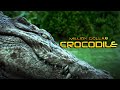 Million Dollar Crocodile (ABENTEUERFILM | Action, Komödie auf Deutsch in voller Länge) *4K*