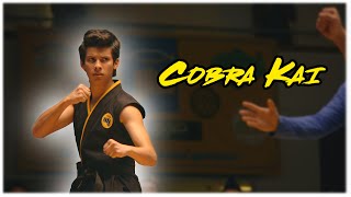 All Miguel Diaz Fight Scenes | Cobra Kai