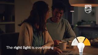 Philips Lighting - Sceneswitch