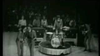 Watch Beatles I Wanna Be Your Man video