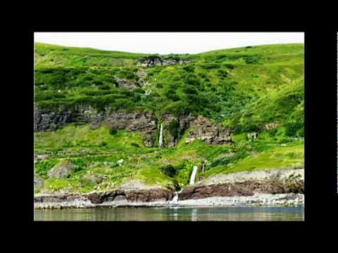 всплывающий текст описание