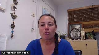 Power Animal Readings 16 Nov 21 & Mentoring