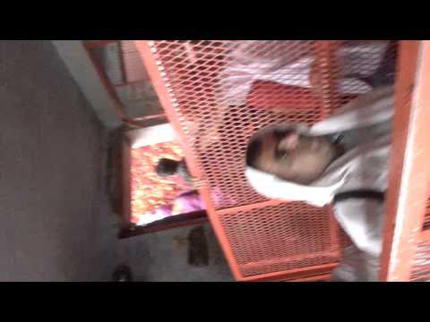 MANSA DEVI MATA MANDIR(temple) darshan inside.......haridwar