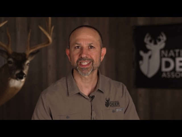 Watch Hunter Behavior In The Field (deer hunting 101) on YouTube.