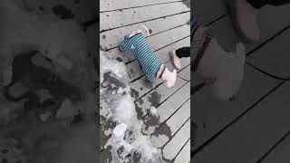 Doggy Walk In Pyjamas