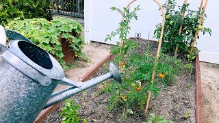 MY HOME GARDEN TOUR | DESI PERKINS MY HOME GARDEN TOUR | DESI PERKINS