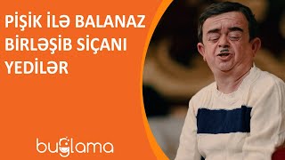 Buğlama Tv - Pişik İlə Balanaz Birləşib Siçanı Yedilər