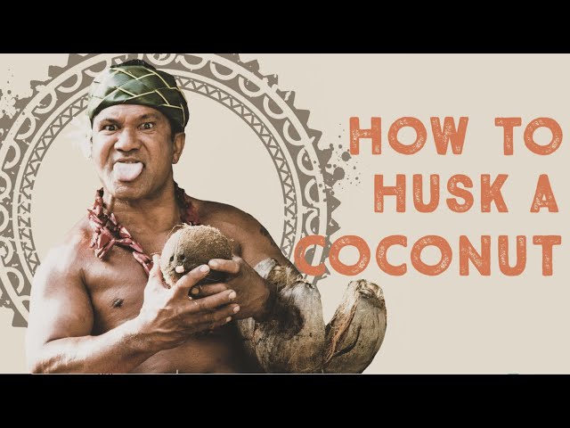 The Coolest Way To To Husk And Open A Coconut - Video