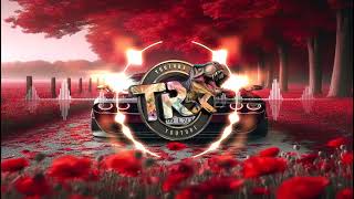 Zdiib - 7Adrtk Remix حسن الاميري - حضرتك هل معتني ريمكس Trx Remix