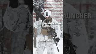British, American, Norwegian Soldiers - Choose Your Fighter