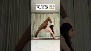 Flexibility Challenge Touch Your Head With Your Leg Like This