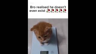 Bro Doesnt Even Exist