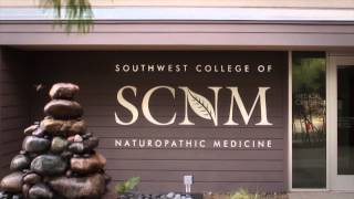 Scnm Overview
