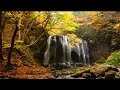 [ 4K Ultra HD ] 錦秋の癒やしの滝 Waterfalls in Autumn (Shot on RED EPIC)