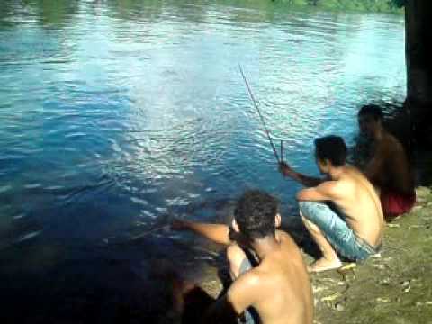 Sereias+Verdadeiras Learn and talk about Pedra Branca do Amapari, Populated places in ...