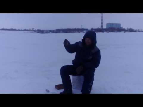 прогноз ловли рыбы в шарыпово прогноз ловли рыбы в шарыпово