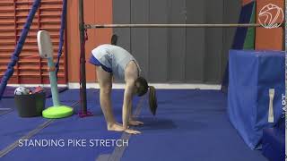 Standing Pike Stretch (Testing skill)