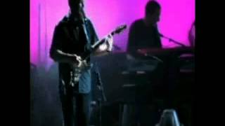Watch Echolyn In Every Garden video