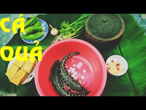 CÁ QUẢ OM CHUỐI ĐẬU