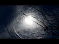 "Binary DNA" Creepypasta